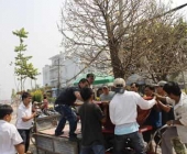 Top bàn nâng cây cảnh được ưa chuộng trên thị trường vườn mai hiện nay